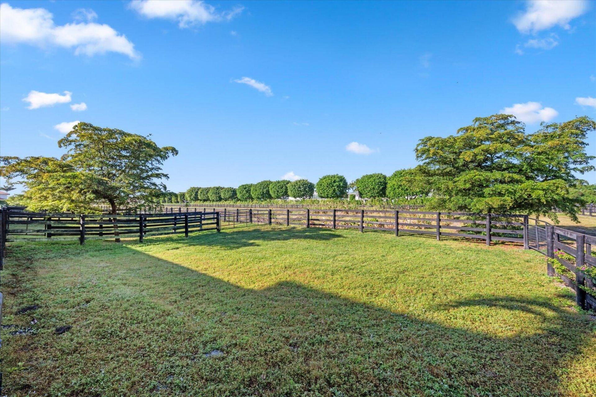 3601 Grand Prix Farms Drive, Wellington, FL 33414 Photo