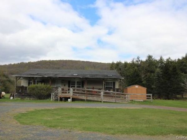 440 Debruce Road , Livingston Manor, NY 12758