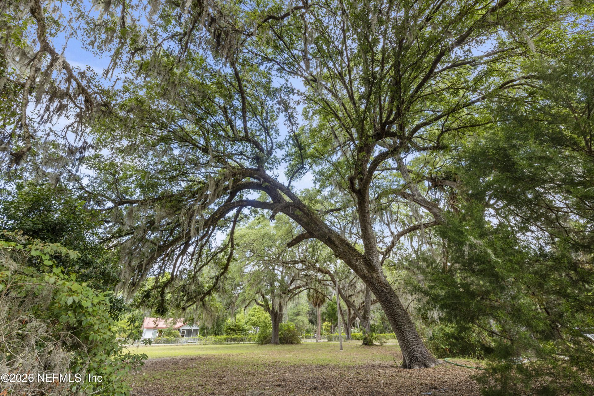155 Roddy Road, Palatka, FL 32177 Photo