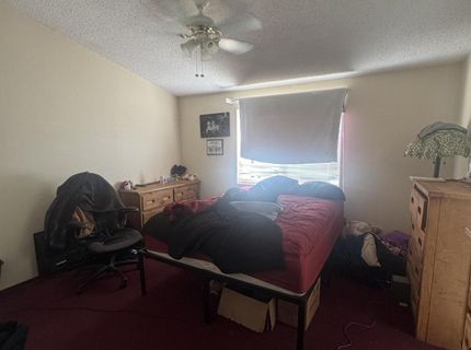 3525 Soda Lake Road, Fallon, NV 89406 Photo
