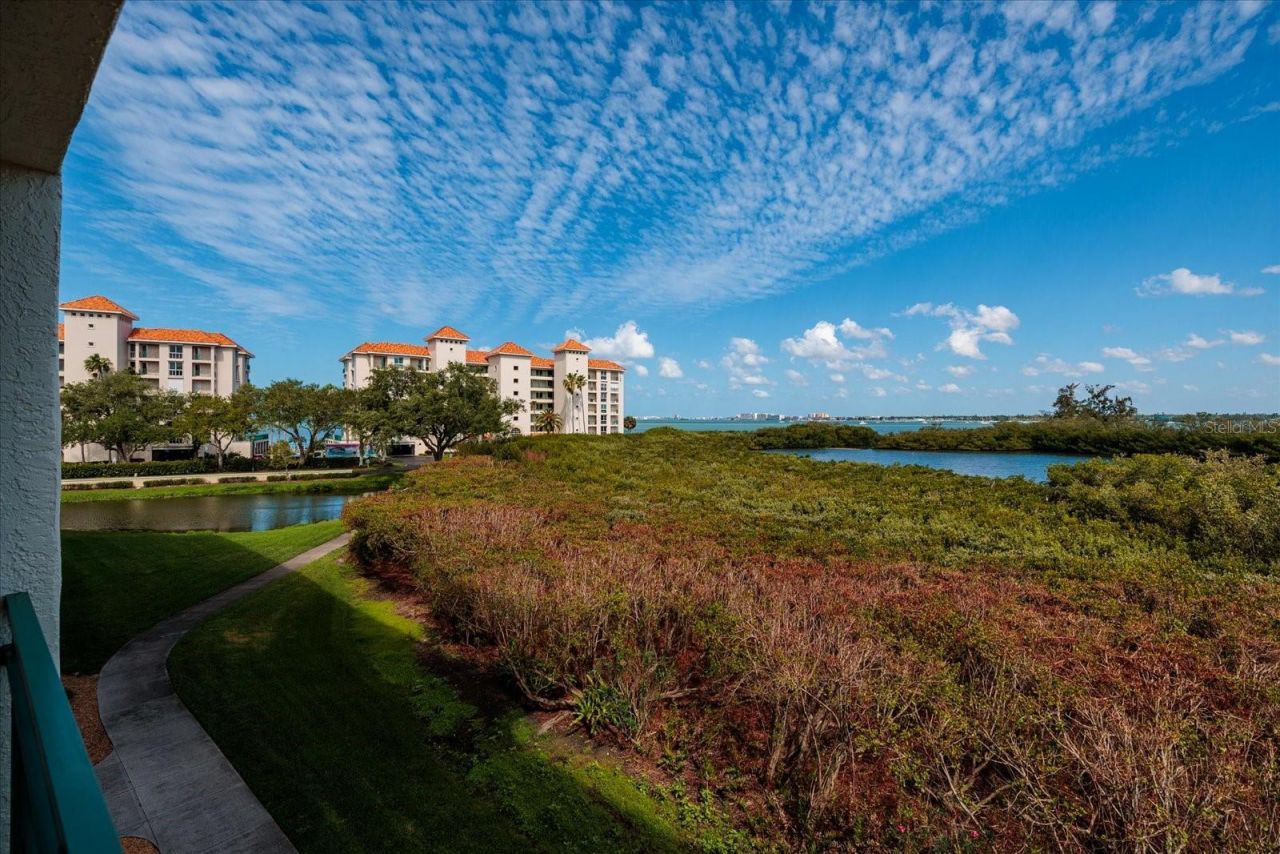 4801 Osprey Drive S, Unit 207, Saint Petersburg, FL 33711 Photo