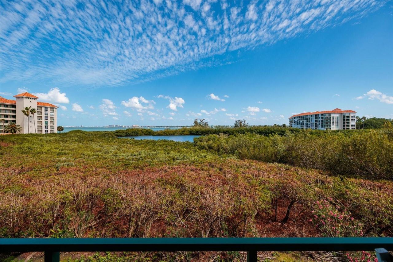 4801 Osprey Drive S, Unit 207, Saint Petersburg, FL 33711 Photo