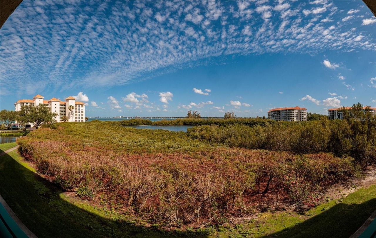4801 Osprey Drive S, Unit 207, Saint Petersburg, FL 33711 Photo