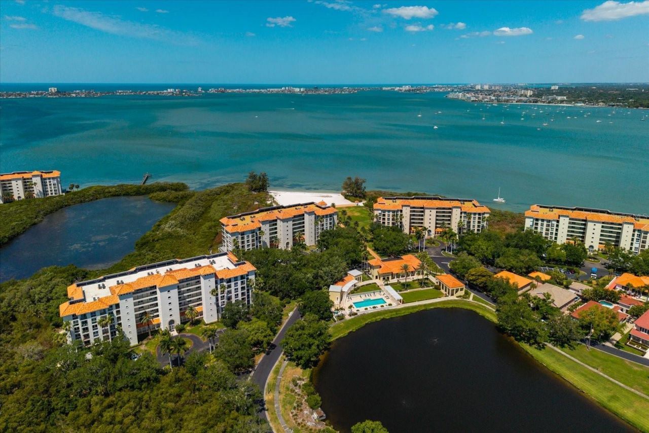 4801 Osprey Drive S, Unit 207, Saint Petersburg, FL 33711 Photo