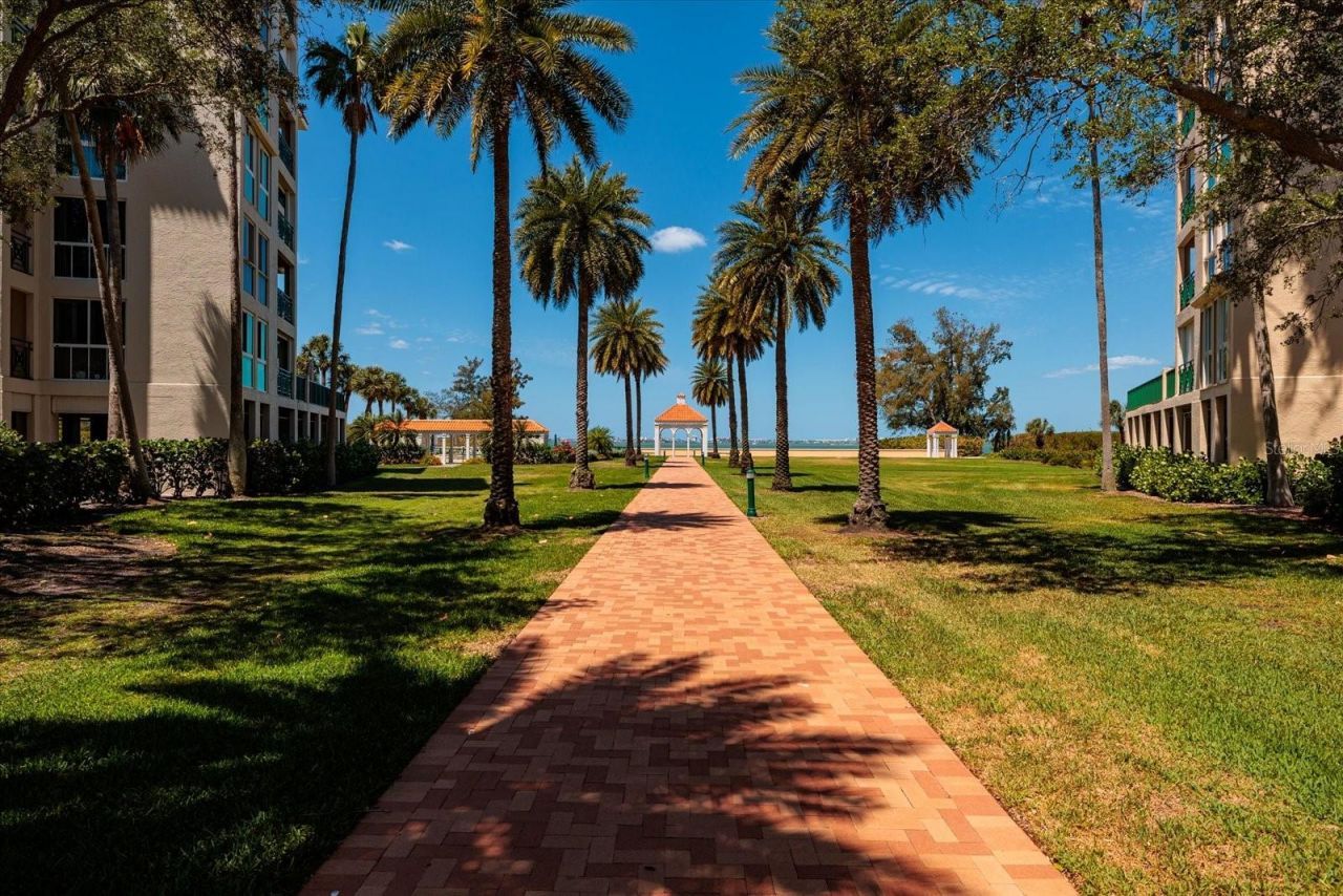 4801 Osprey Drive S, Unit 207, Saint Petersburg, FL 33711 Photo