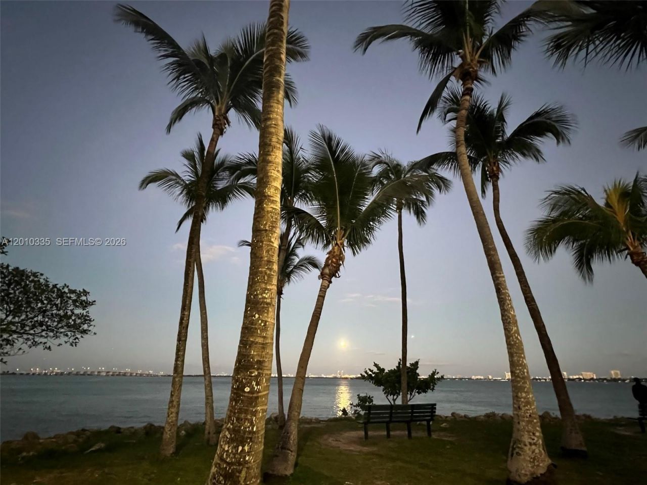 1717 N Bayshore Dr, Unit A-1431, Miami, FL 33132 Photo