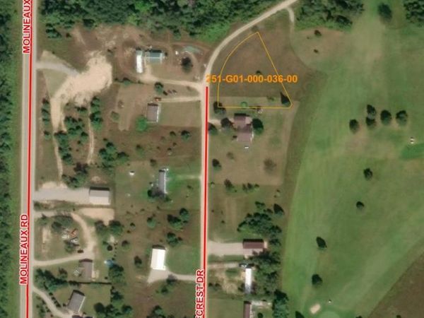 15281 Golfcrest Drive, Wolverine, MI 49799
