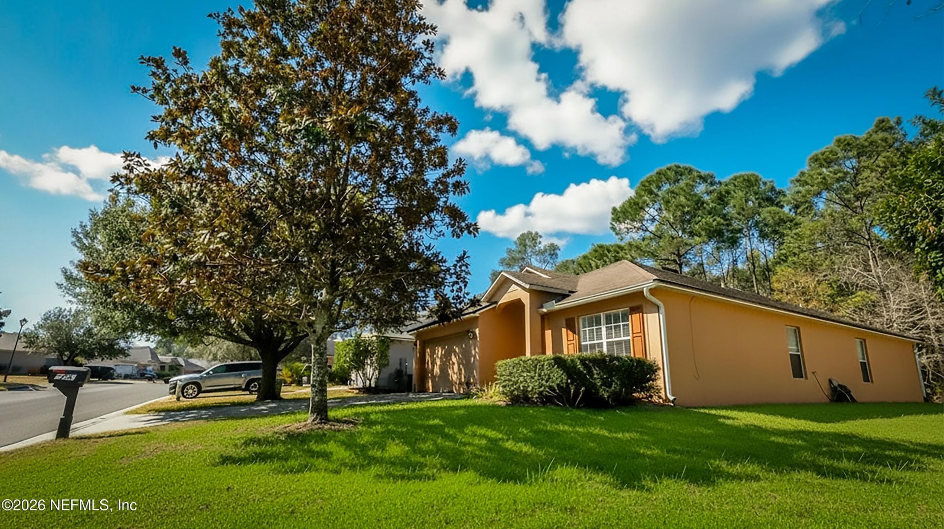 1455 Tomcat Drive, Jacksonville, FL 32221 Photo