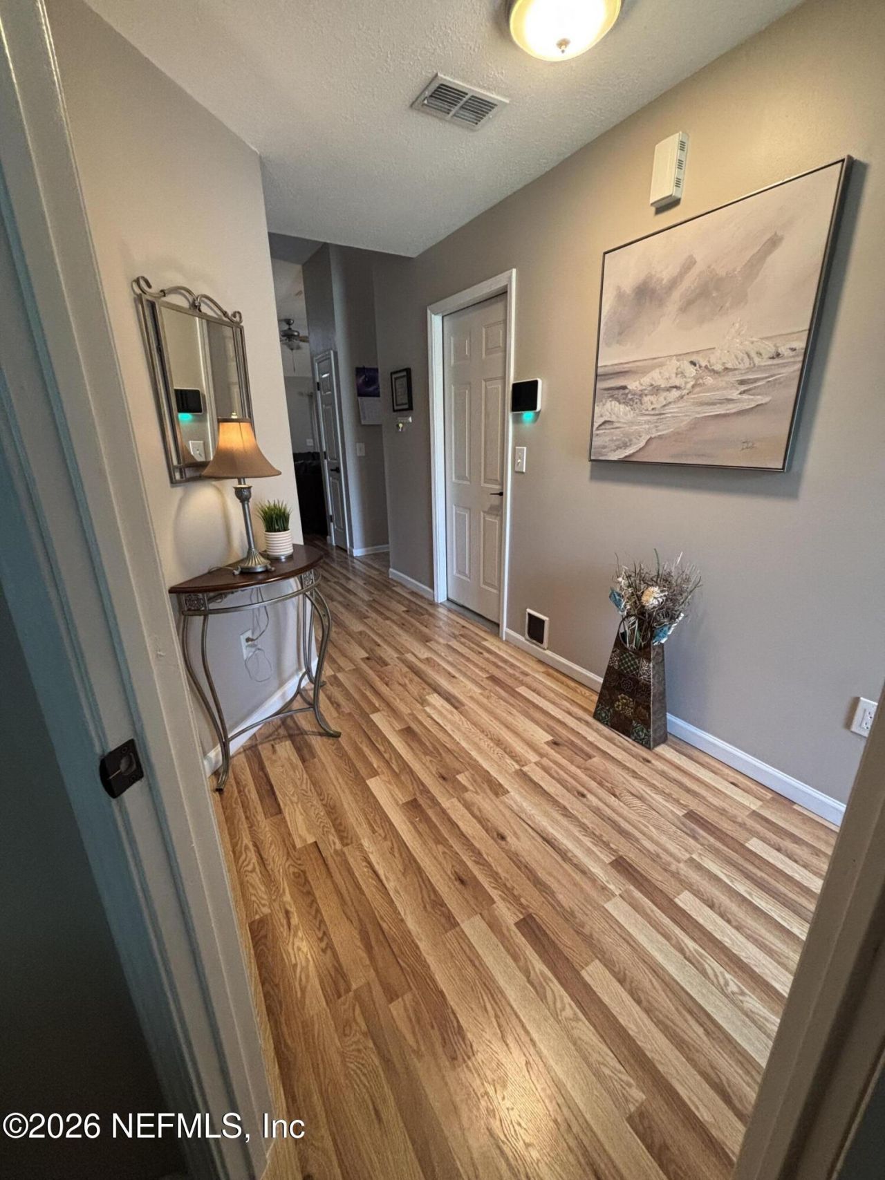 3825 Hideaway Lane, Middleburg, FL 32068 Photo