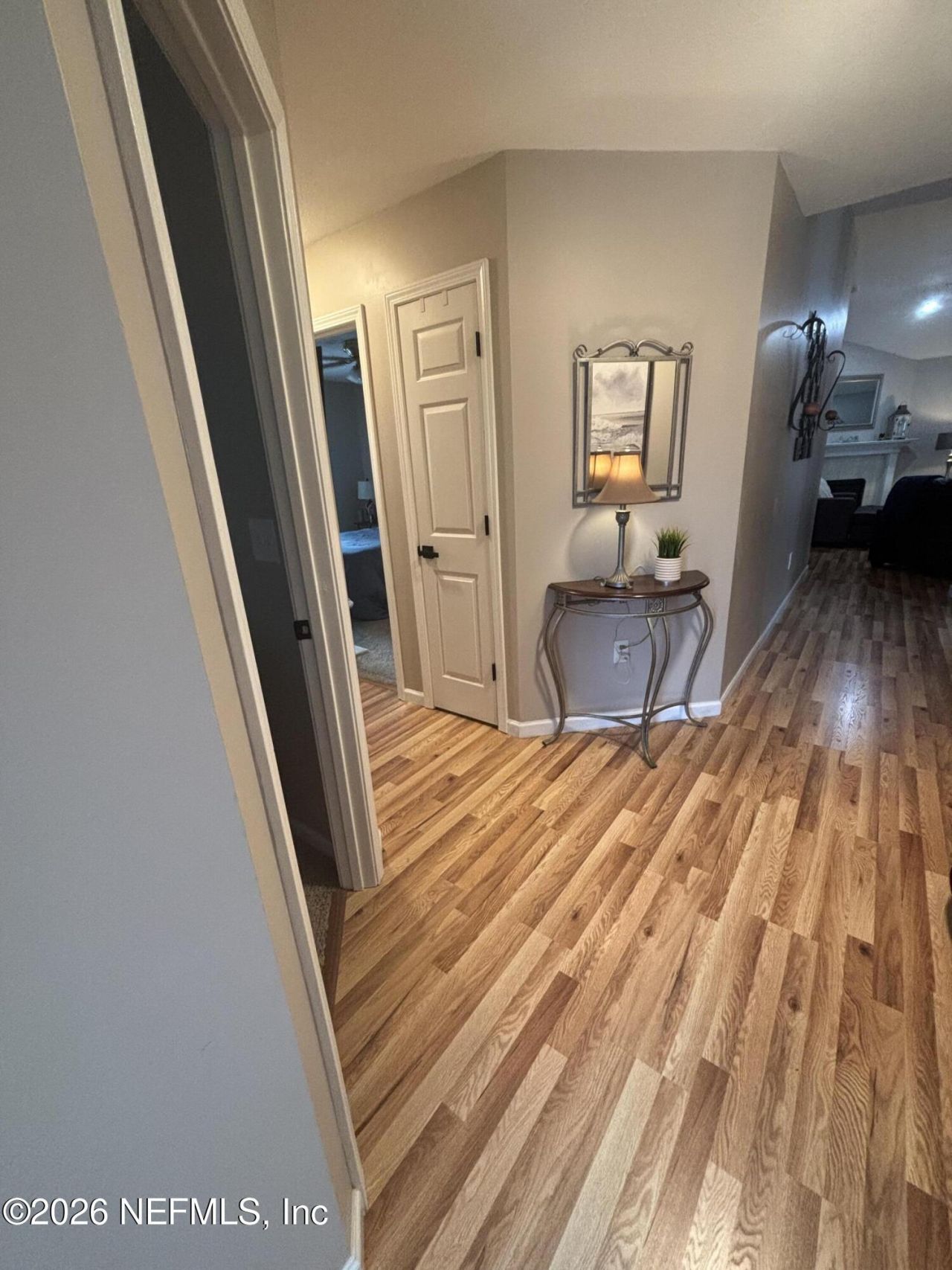 3825 Hideaway Lane, Middleburg, FL 32068 Photo