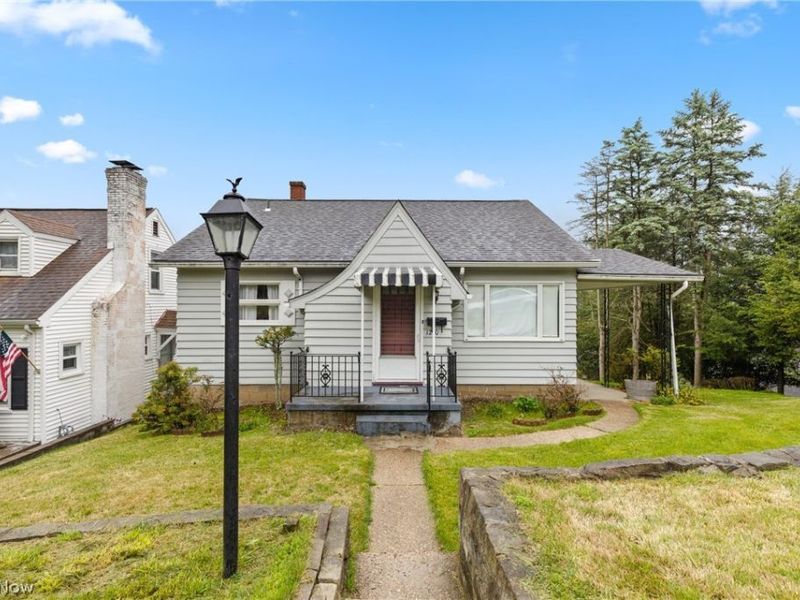 1210 Virginia, Martins Ferry, OH 43935 Photo 1