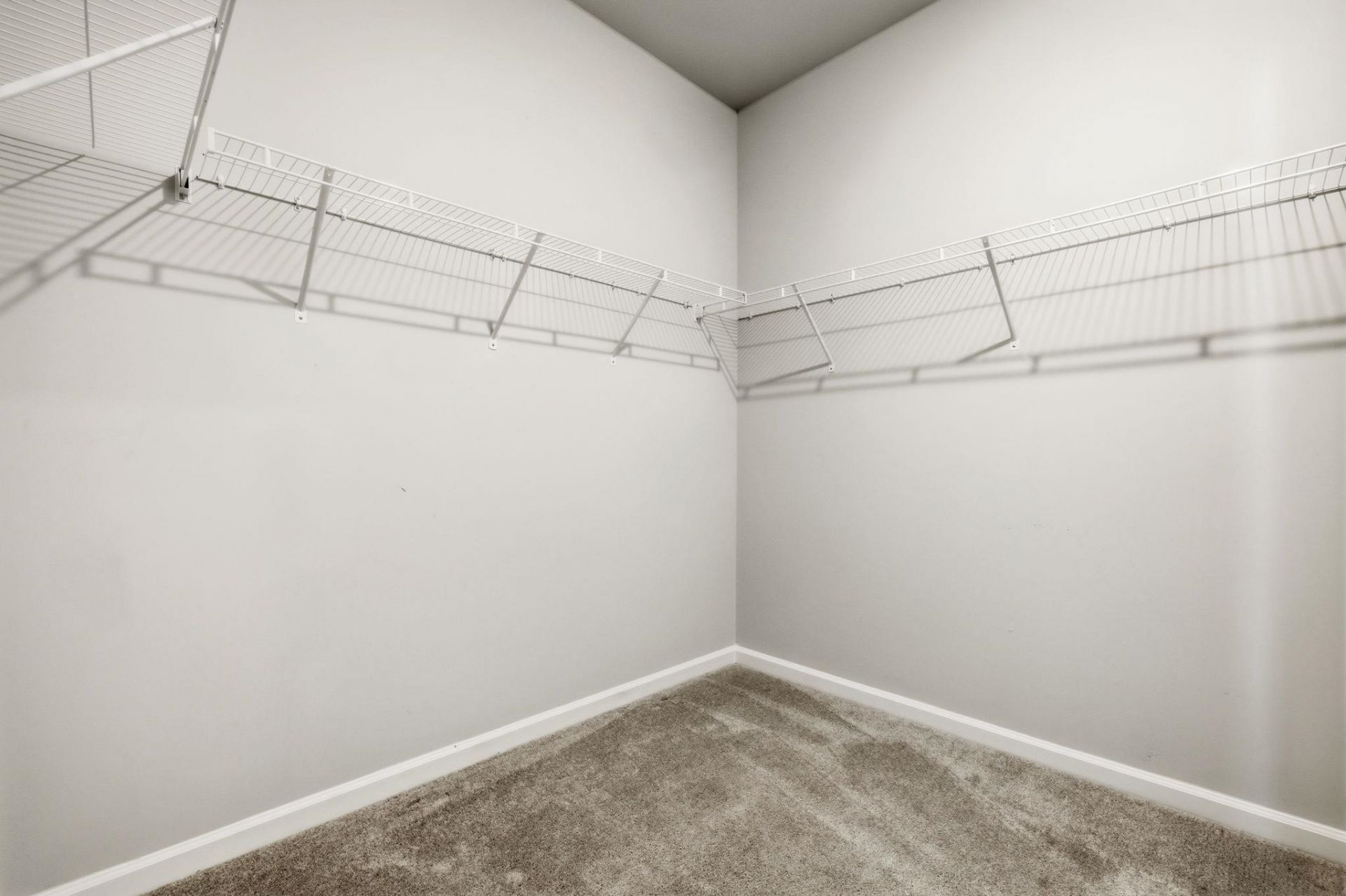 2514 Blue Crane Circle Photo 39