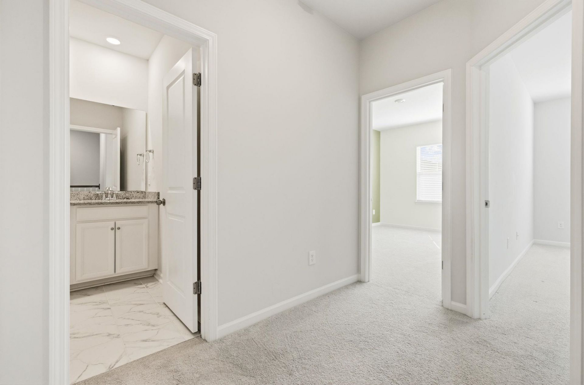 2514 Blue Crane Circle Photo 41