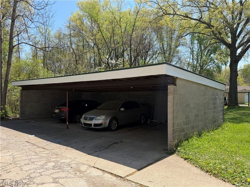 223 Kendall Avenue, Campbell, OH 44405 Photo 4