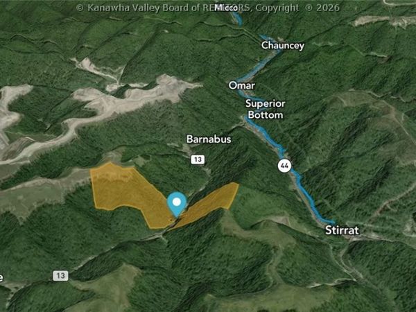 36 Grassy Meadow Trail, Omar, WV 25638