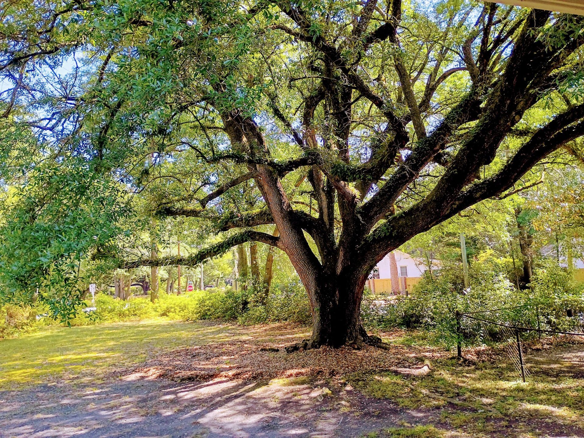 100 Old Country Club Road Photo 2