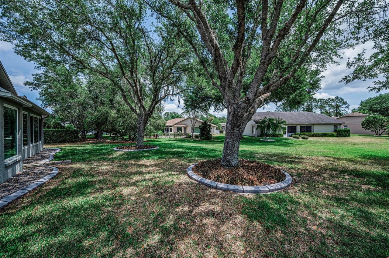 1300 Fallowfield Drive , Trinity, FL 34655 Photo