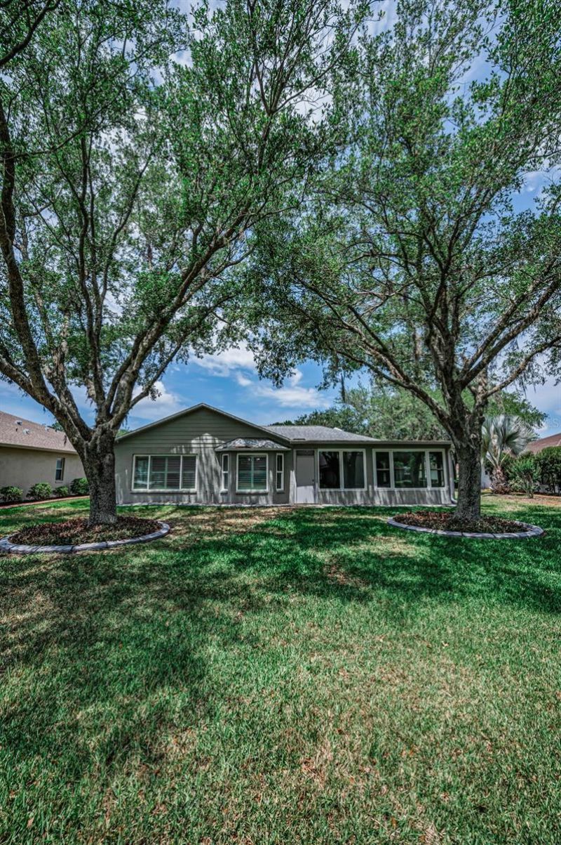 1300 Fallowfield Drive , Trinity, FL 34655 Photo