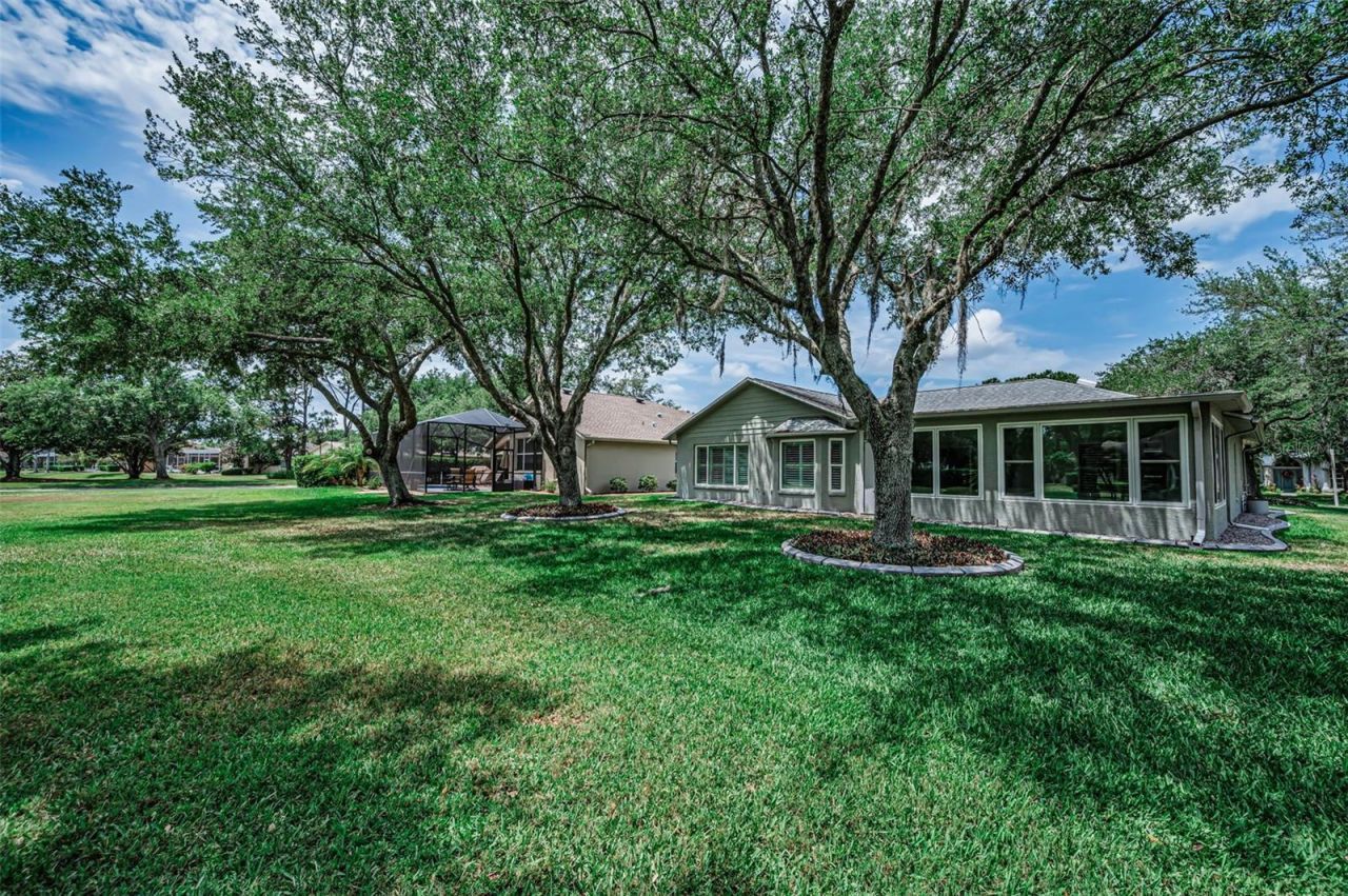 1300 Fallowfield Drive , Trinity, FL 34655 Photo