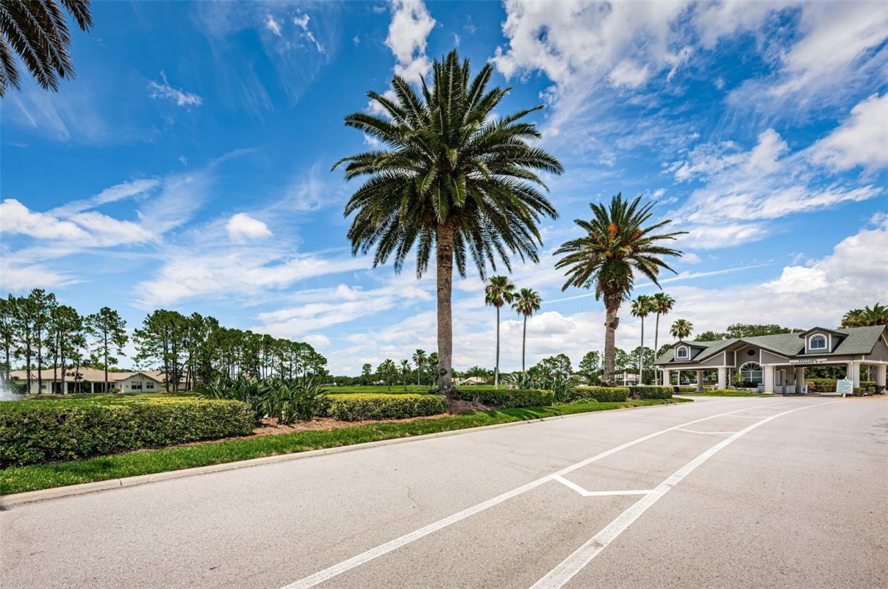 1300 Fallowfield Drive , Trinity, FL 34655 Photo