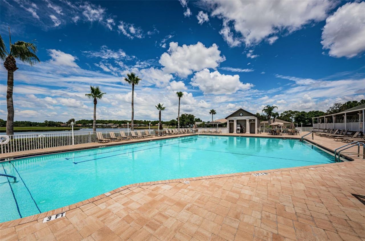 1300 Fallowfield Drive , Trinity, FL 34655 Photo