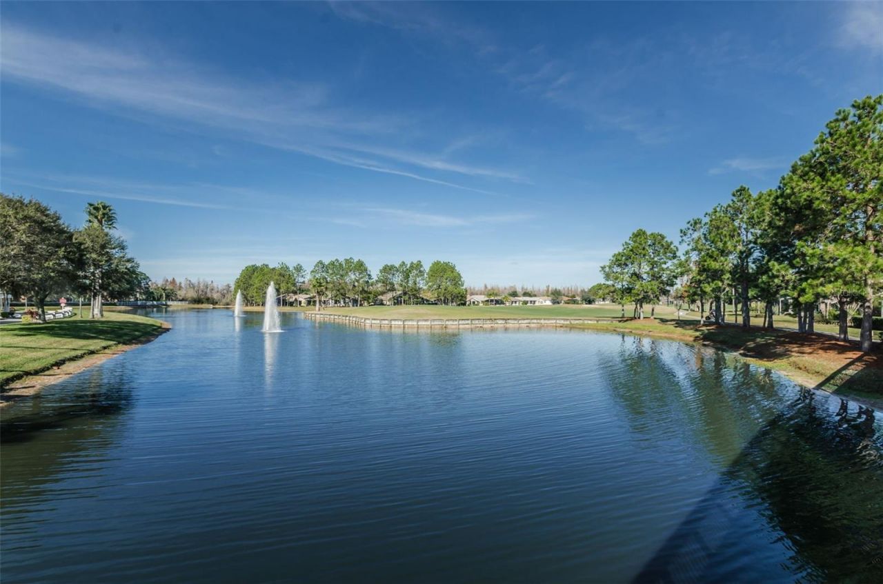 1300 Fallowfield Drive , Trinity, FL 34655 Photo
