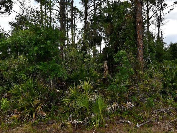 GELOSO AVENUE , NORTH PORT, FL 34288