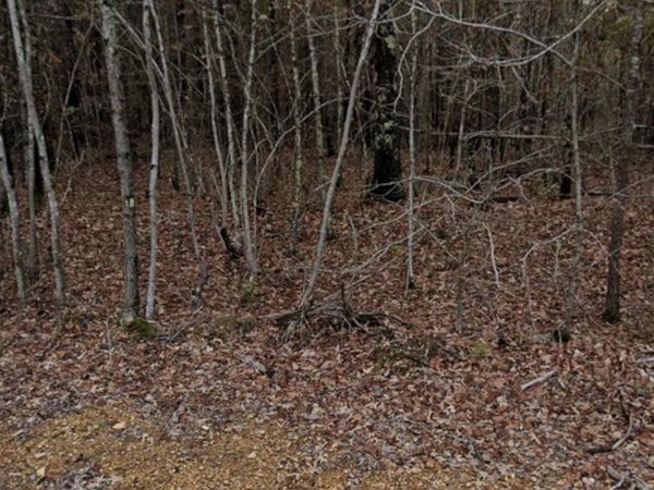 208 Fuller, Phil Campbell, AL 35581