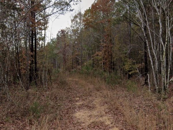 104 Fuller, Phil Campbell, AL 35581
