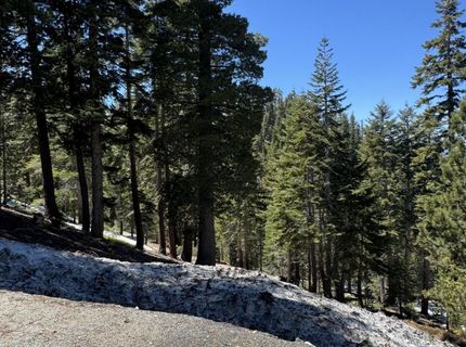 495 Tramway Drive, Unit 7, Stateline, NV 89449 Photo