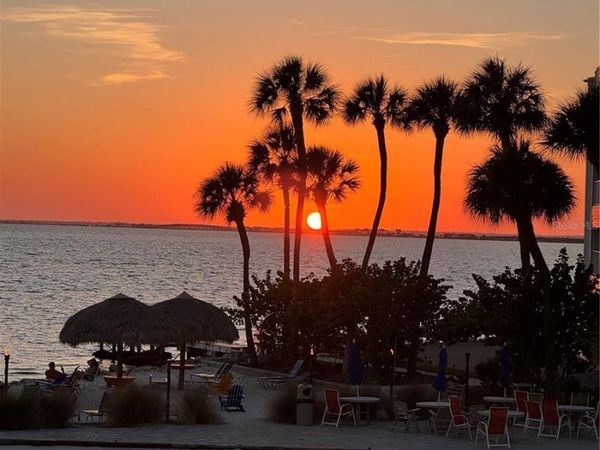 TAMPA, FL 33607