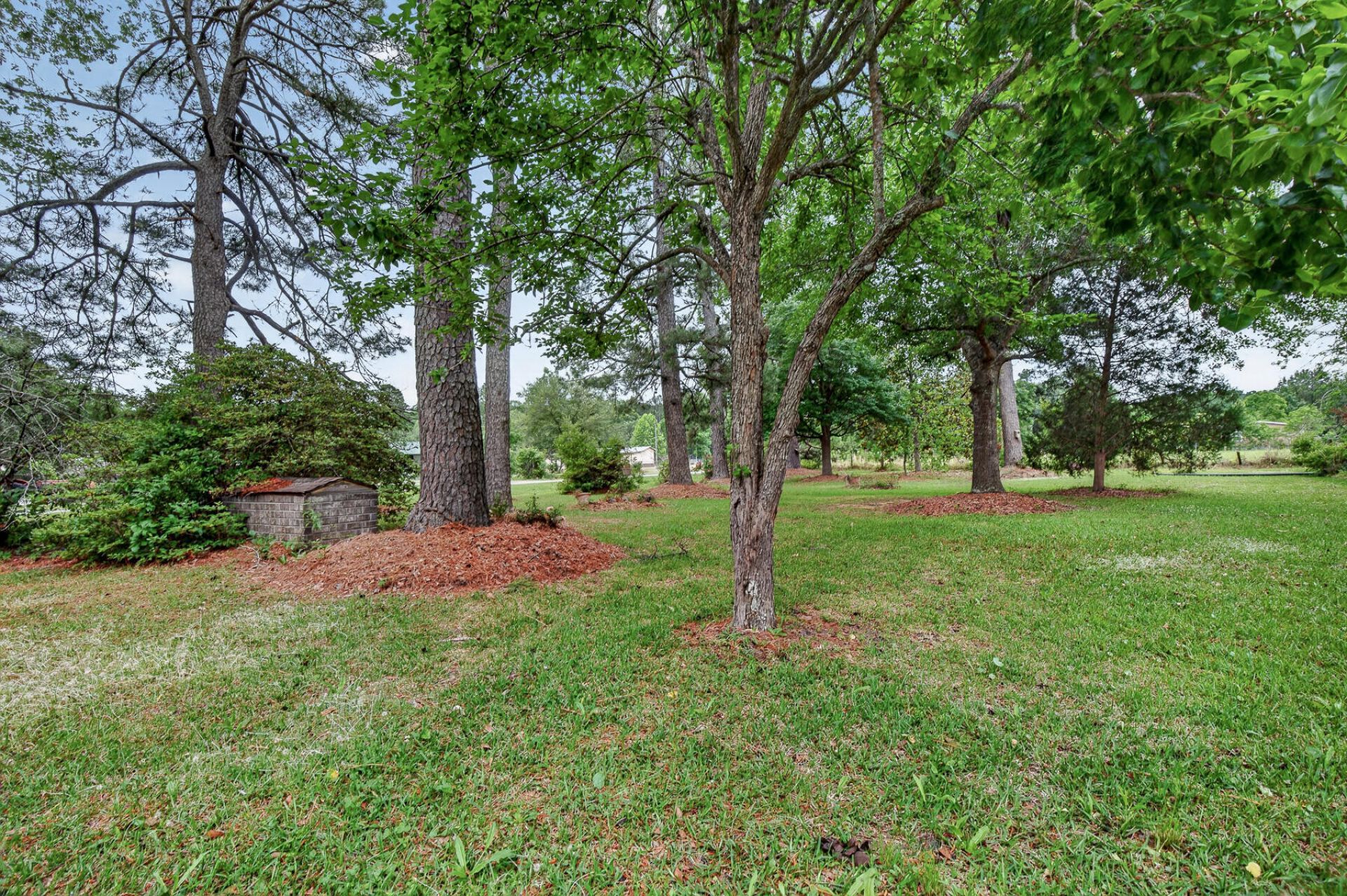 1625 Alexander Circle Photo 21