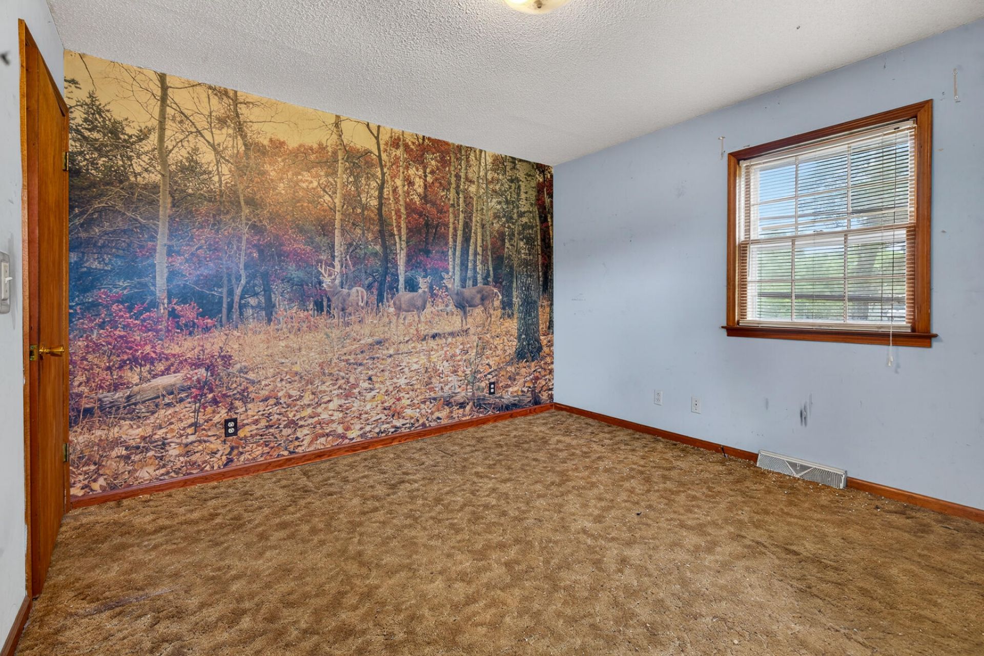 1625 Alexander Circle Photo 46