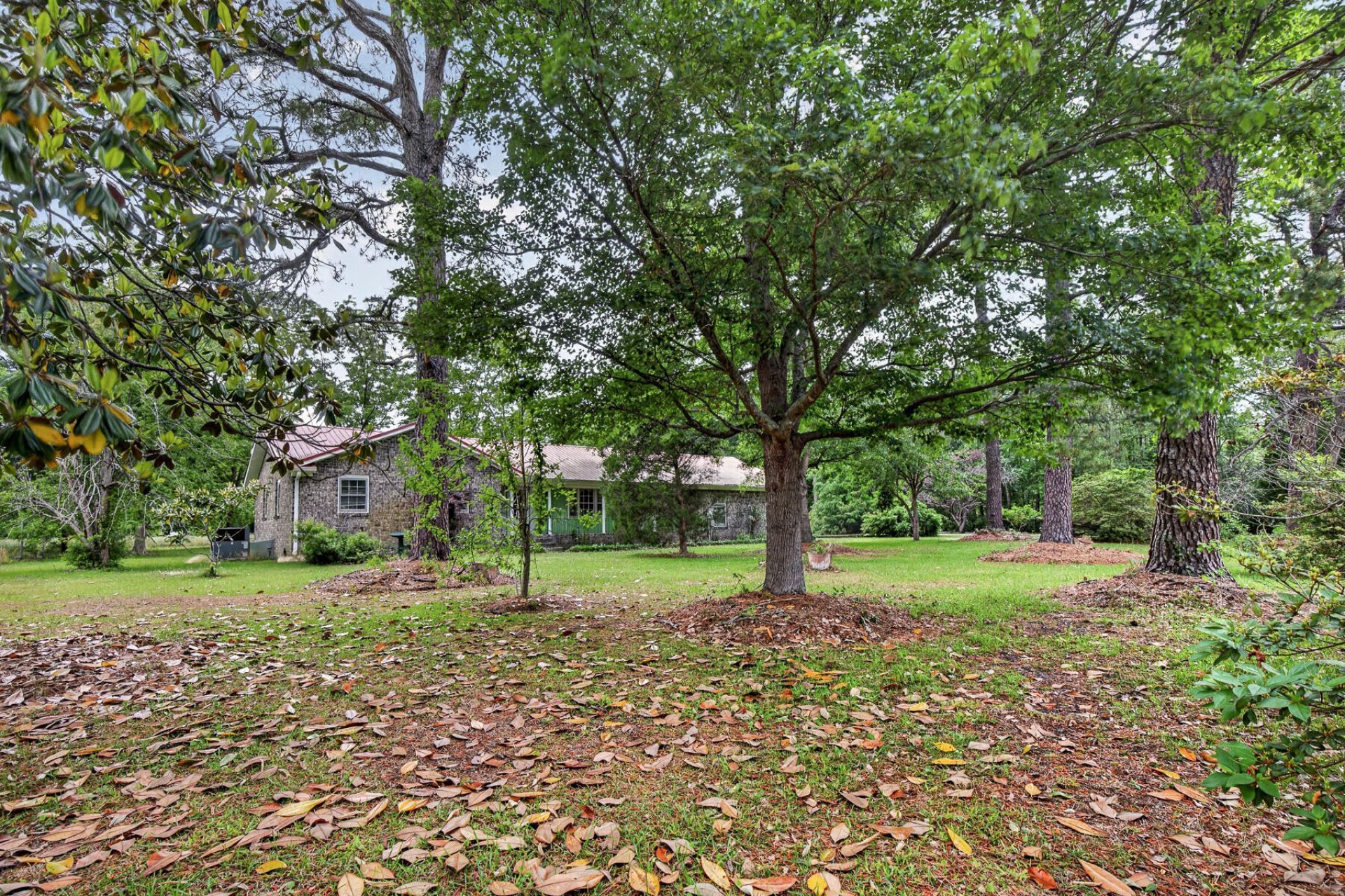 1625 Alexander Circle Photo 5