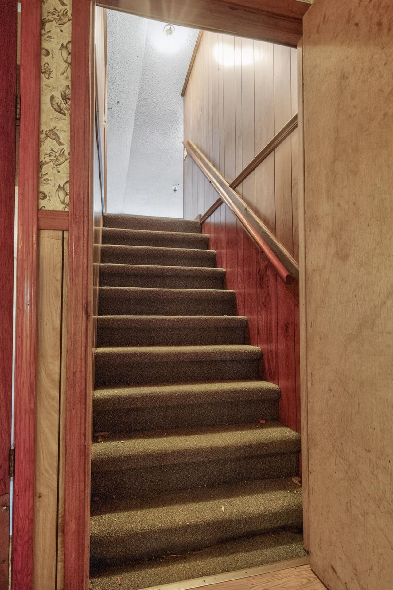 1625 Alexander Circle Photo 52
