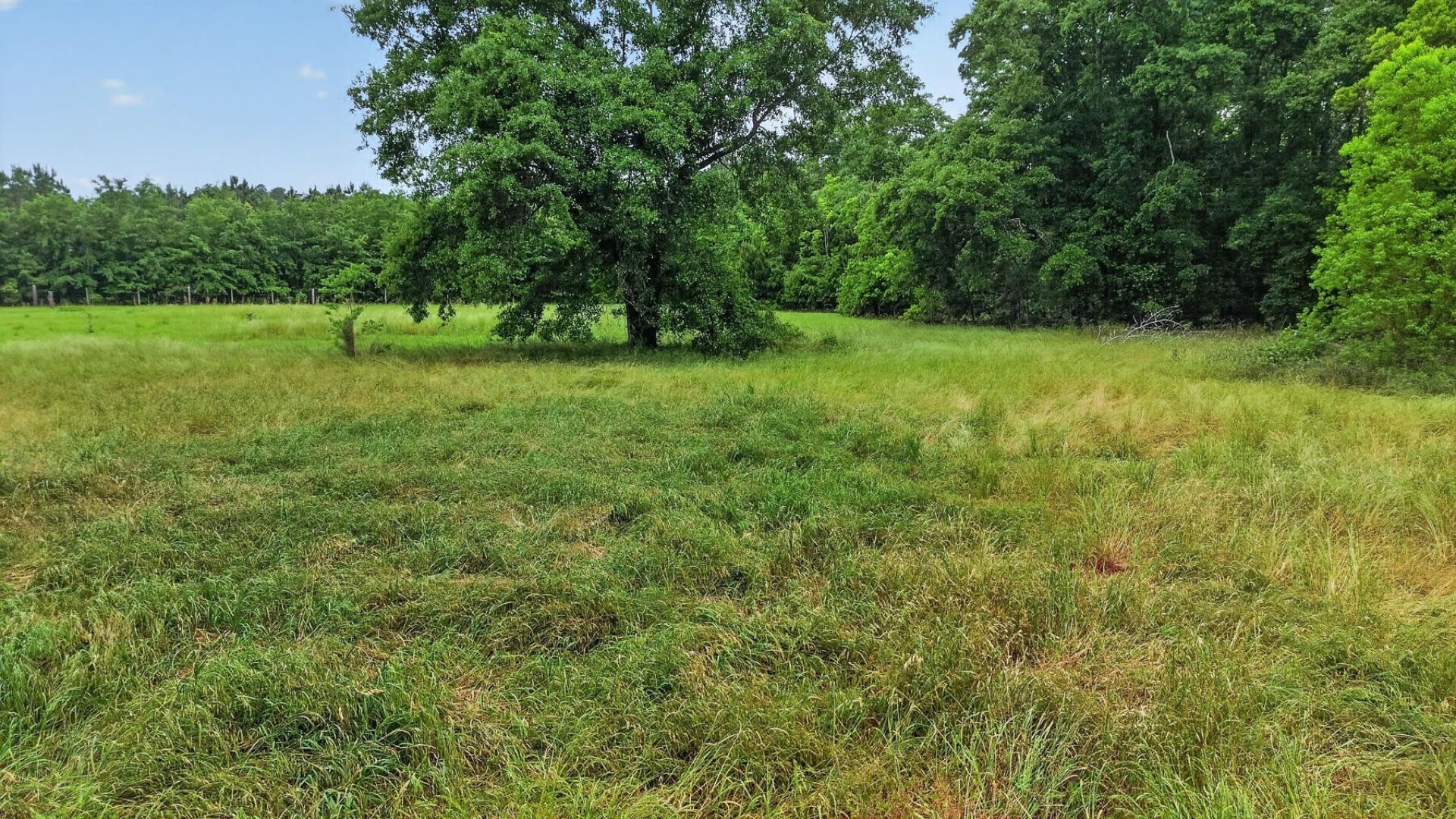 1625 Alexander Circle Photo 62