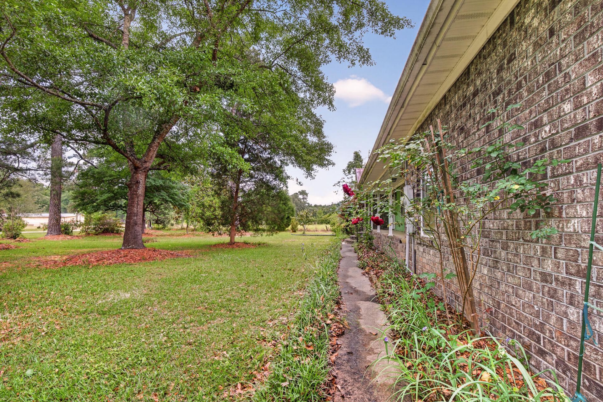 1625 Alexander Circle Photo 7