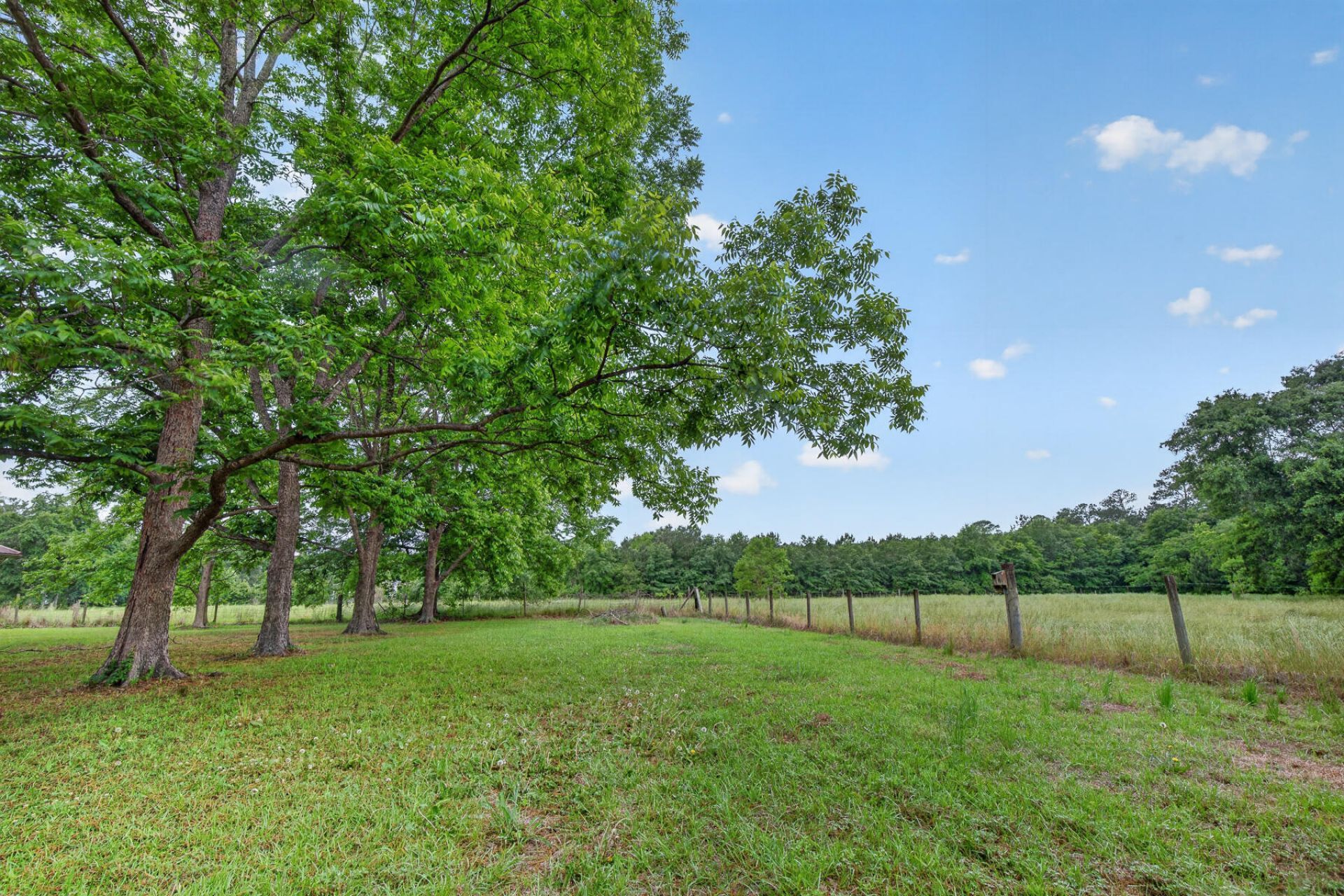 1625 Alexander Circle Photo 71