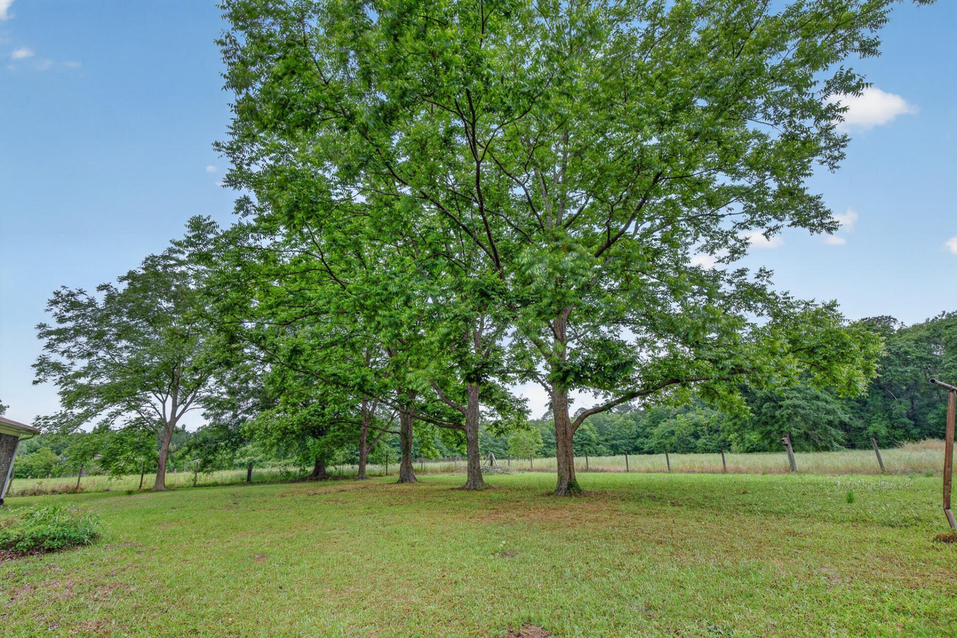 1625 Alexander Circle Photo 72