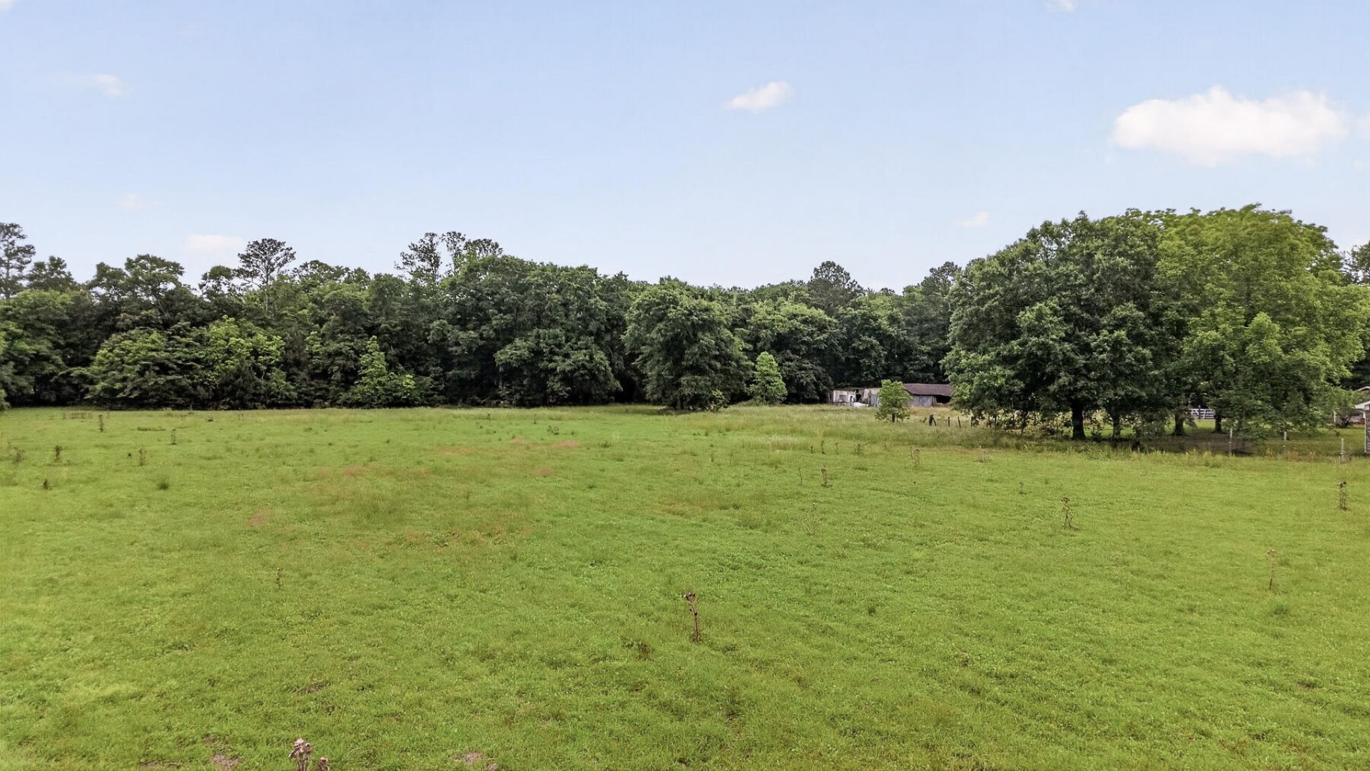 1625 Alexander Circle Photo 74