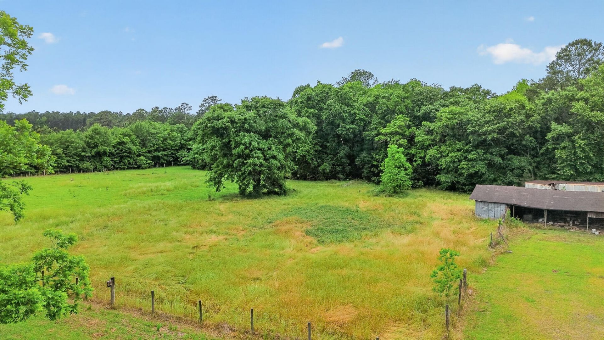 1625 Alexander Circle Photo 75