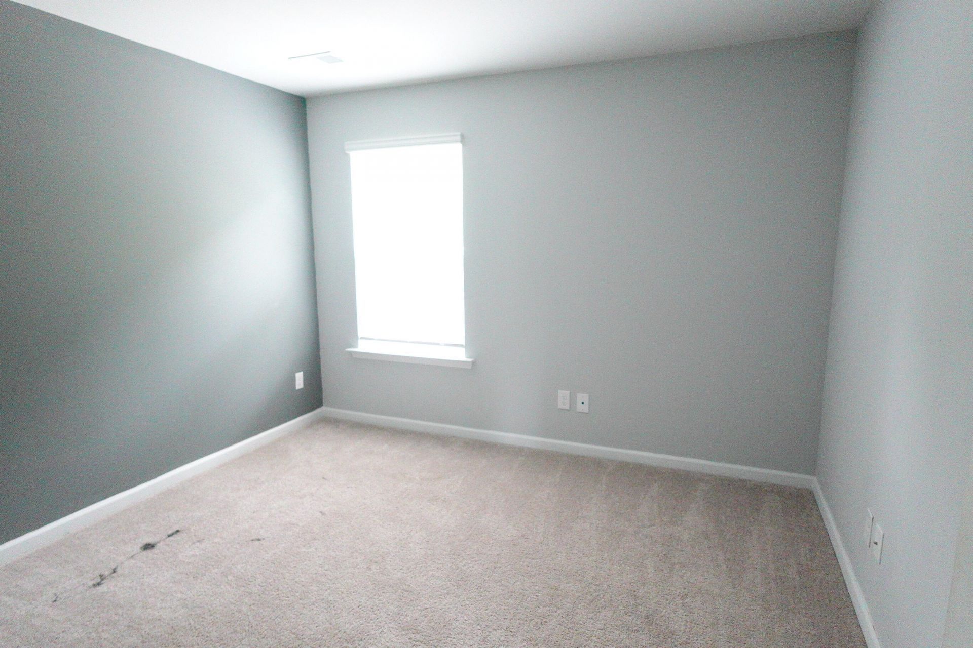 127 Blossom Wood Lane Photo 10