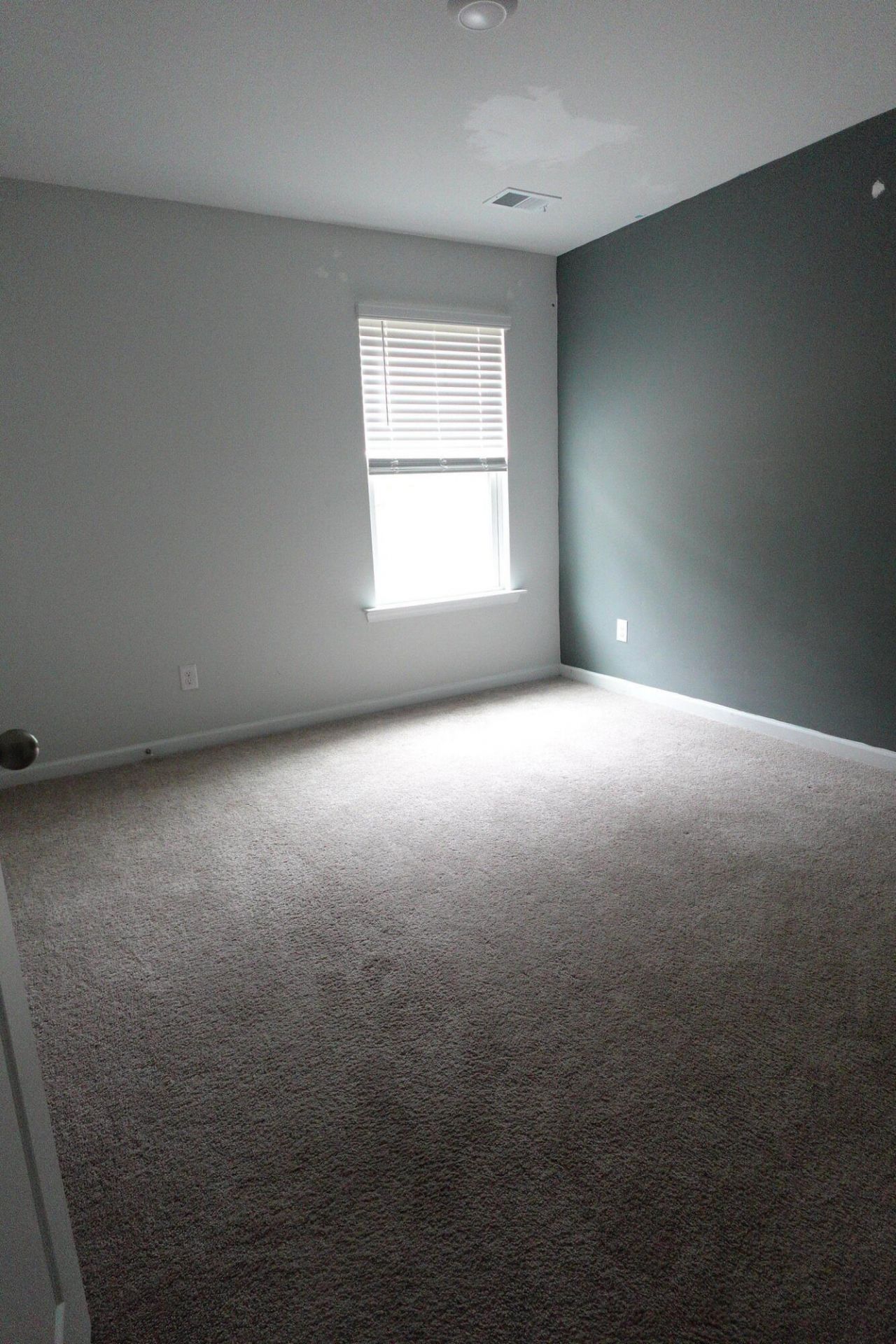 127 Blossom Wood Lane Photo 13