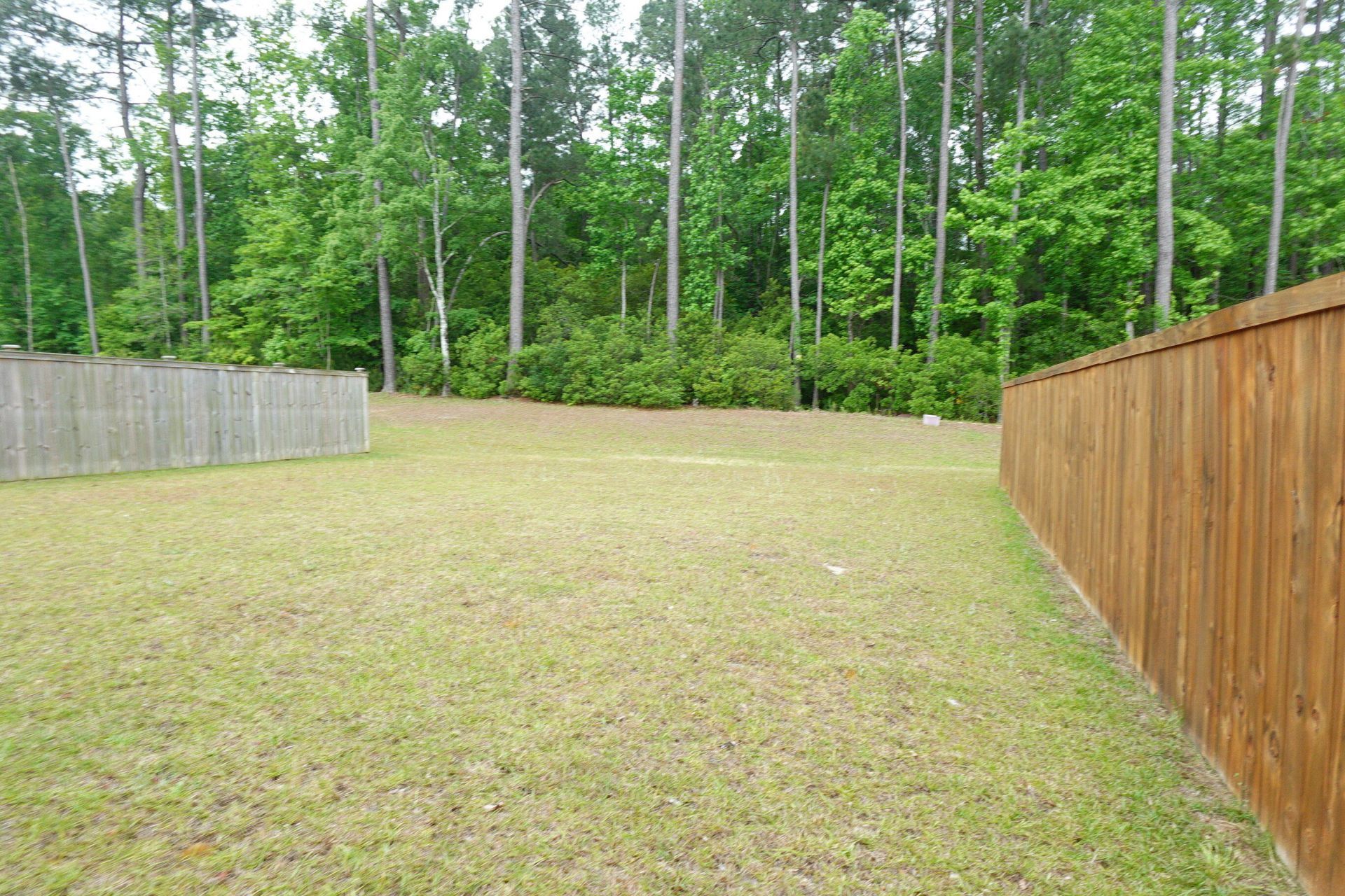 127 Blossom Wood Lane Photo 3