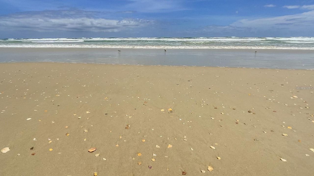 4501 S Atlantic Avenue, Unit 415, New Smyrna Beach, FL 32169 Photo