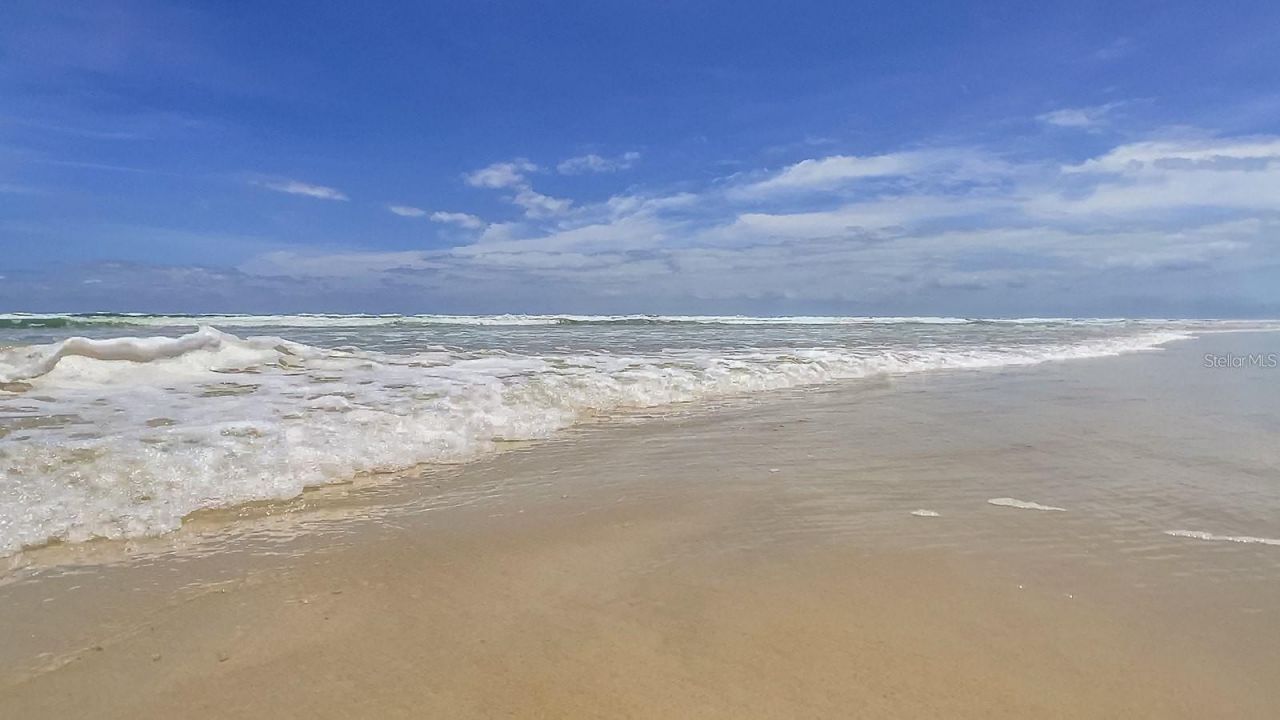 4501 S Atlantic Avenue, Unit 415, New Smyrna Beach, FL 32169 Photo