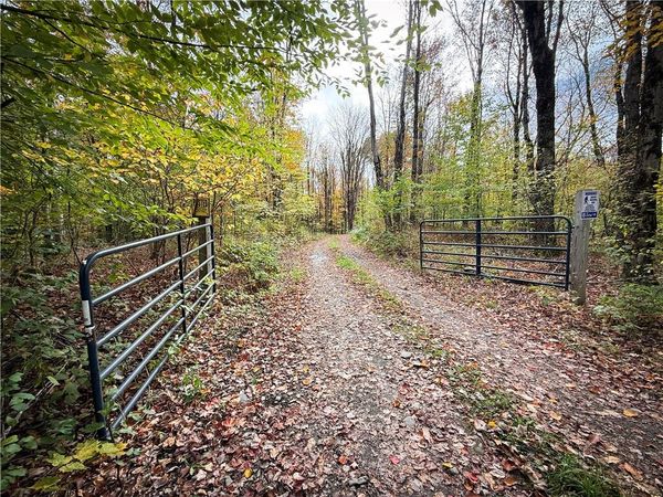 0 Trout Brook Drive, Orwell, NY 13144