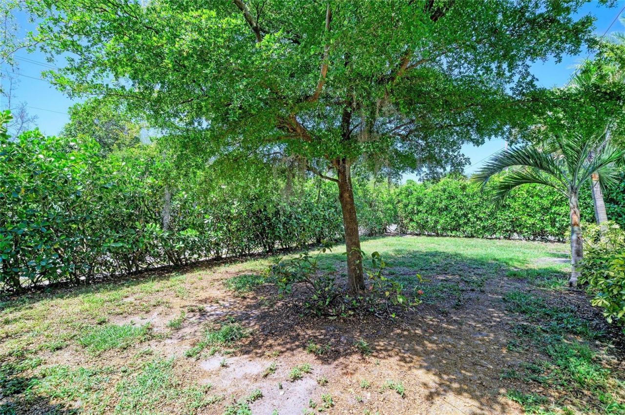 3710 Rilma Avenue, Sarasota, FL 34234 Photo