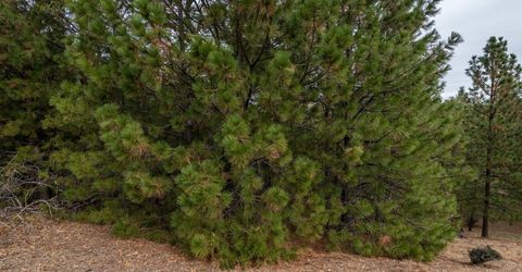 23717-lot 127 Darkhorse Dr, Auburn, CA 95602 Photo