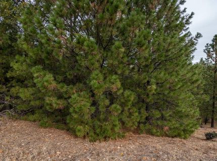 23717-lot 127 Darkhorse Dr, Auburn, CA 95602 Photo